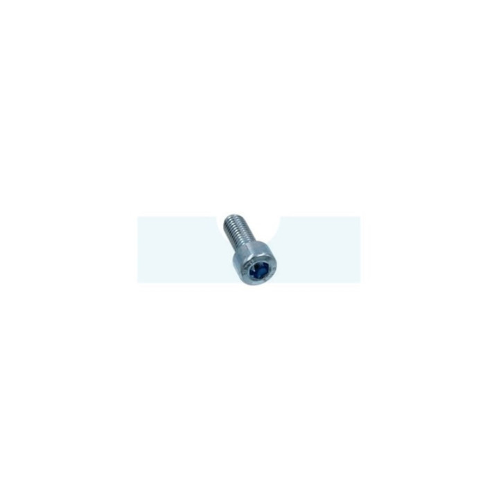 Vis à tête cylindrique à six pans creux (BTR, Allen) M8 x 1,25mm