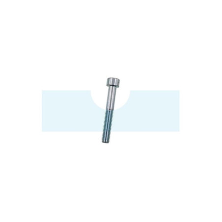 Vis à tête cylindrique à six pans creux (BTR, Allen) M8 x 1,25mm
