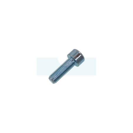 Vis à tête cylindrique à six pans creux (BTR, Allen) M10 x 1,5mm
