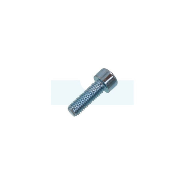 Vis à tête cylindrique à six pans creux (BTR, Allen) M10 x 1,5mm