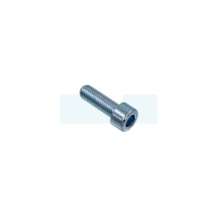 Vis à tête cylindrique à six pans creux (BTR, Allen) M10 x 1,5mm