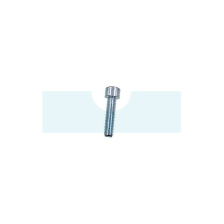 Vis à tête cylindrique à six pans creux (BTR, Allen) M10 x 1,5mm