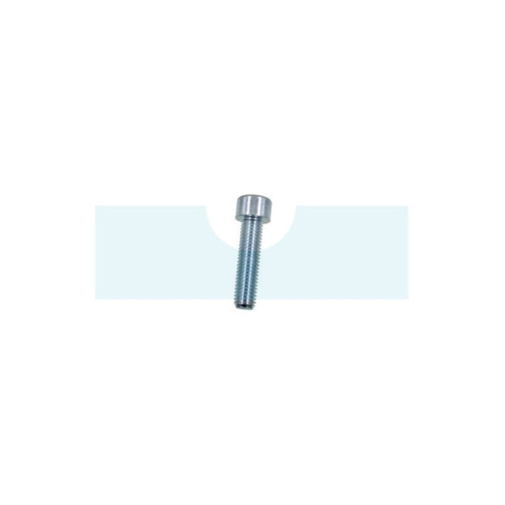 Vis à tête cylindrique à six pans creux (BTR, Allen) M10 x 1,5mm