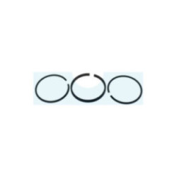 Kit segment pour moteur Briggs & Stratton (298982)
