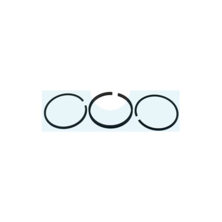 Kit segment pour moteur Briggs & Stratton (298982)