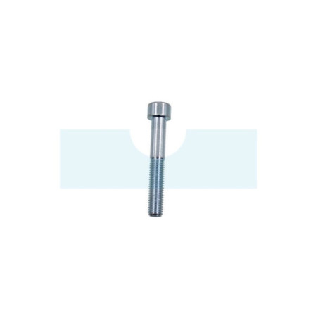 Vis à tête cylindrique à six pans creux (BTR, Allen) M10 x 1,5mm