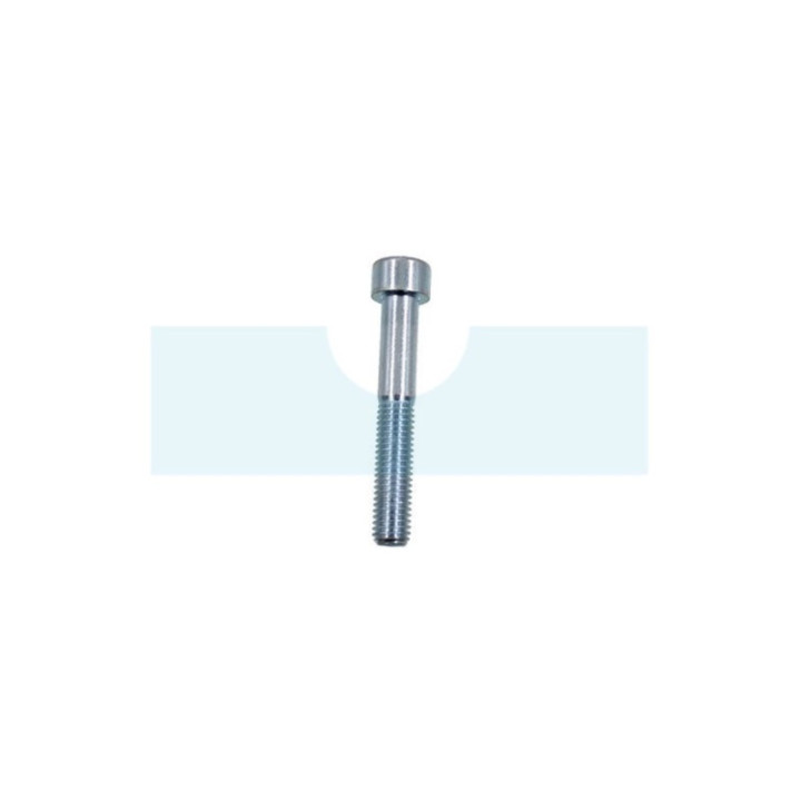 Vis à tête cylindrique à six pans creux (BTR, Allen) M10 x 1,5mm