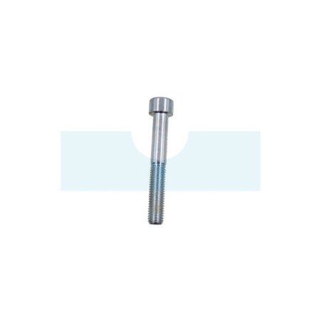 Vis à tête cylindrique à six pans creux (BTR, Allen) M10 x 1,5mm