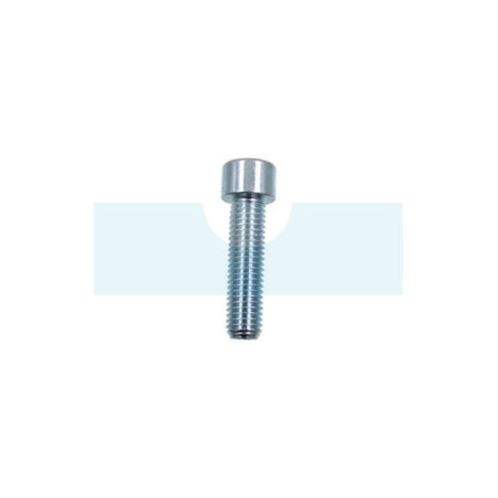 Vis à tête cylindrique à six pans creux (BTR, Allen) M12 x 1,75mm
