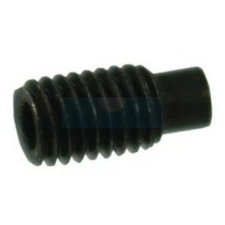 Vis sans tête à six pans creux avec têton (BTR, Allen) M6 x 1mm
