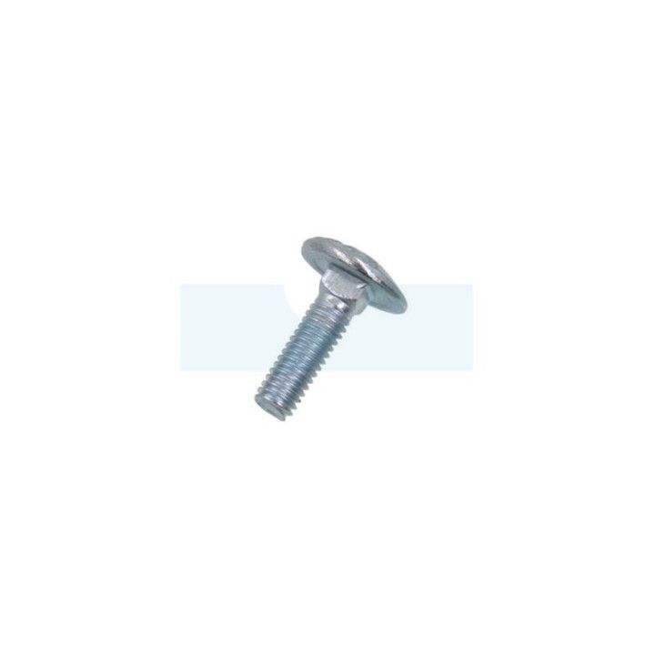 Vis à tête ronde à collet carré M6 x 1mm