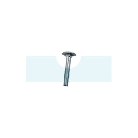 Vis à tête ronde à collet carré M6 x 1mm
