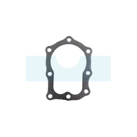 Joint de culasse pour moteur Briggs & Stratton (270836)