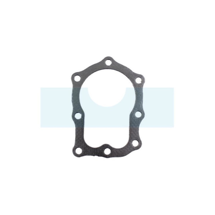 Joint de culasse pour moteur Briggs & Stratton (270836)