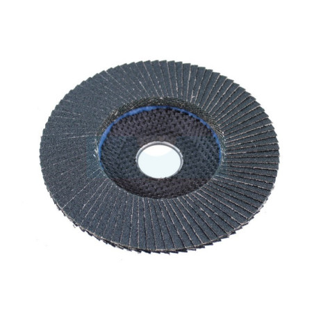 Disque abrasif à lamelles 125