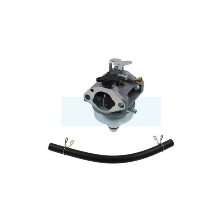 Carburateur pour moteur / tondeuse Honda (16100Z0Y813)