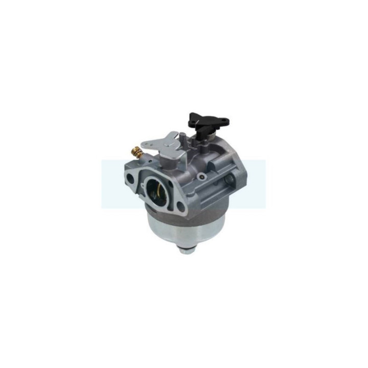 Carburateur pour moteur / tondeuse Honda (16100Z0Y813)