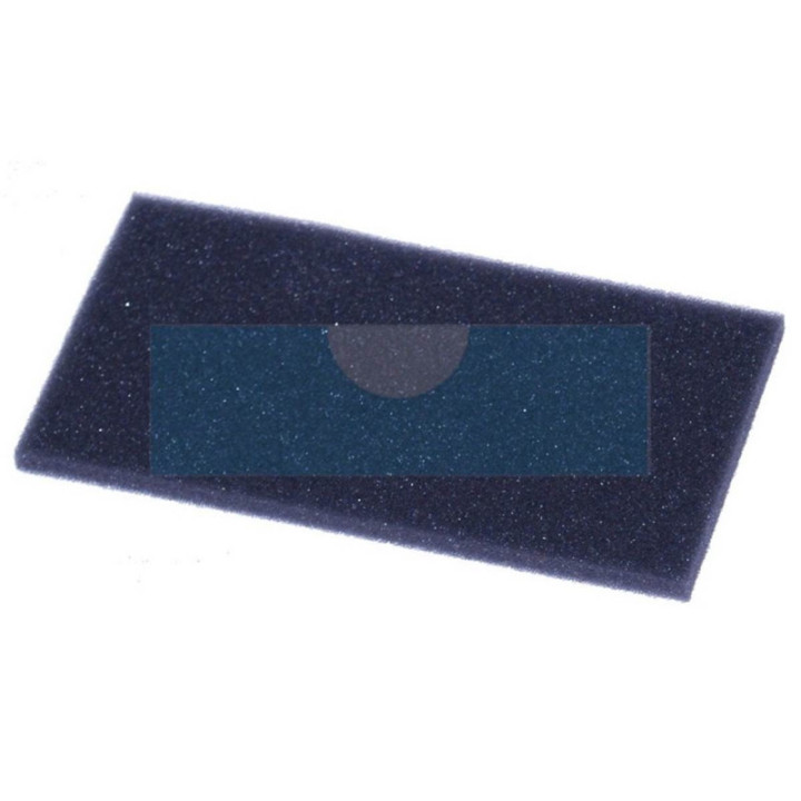 Filtre à air pour moteur Briggs & Stratton (697292)