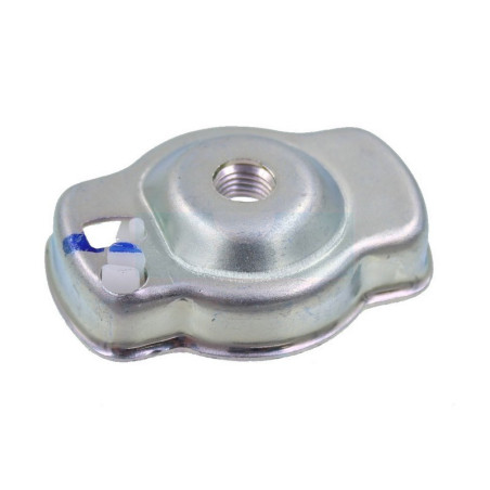 Kit cliquet de lanceur pour moteur Zenoah (185075201)