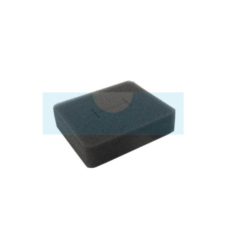 Filtre à air pour moteur Robin (2263600403)