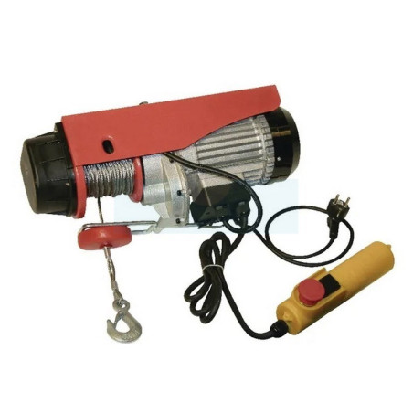 Treuil électrique 220v 300/600KG