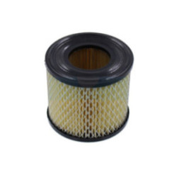 Filtre à air pour moteur Briggs & Stratton (393957)