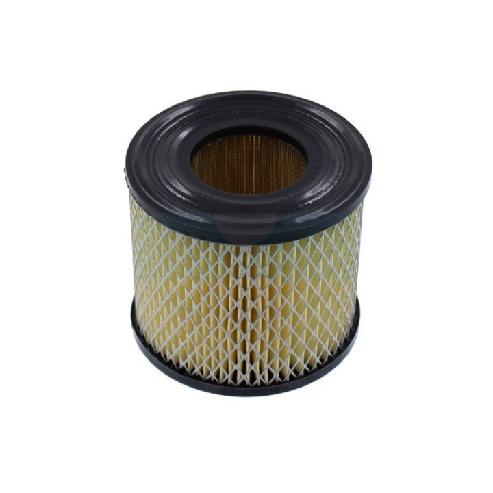Filtre à air pour moteur Briggs & Stratton (393957)