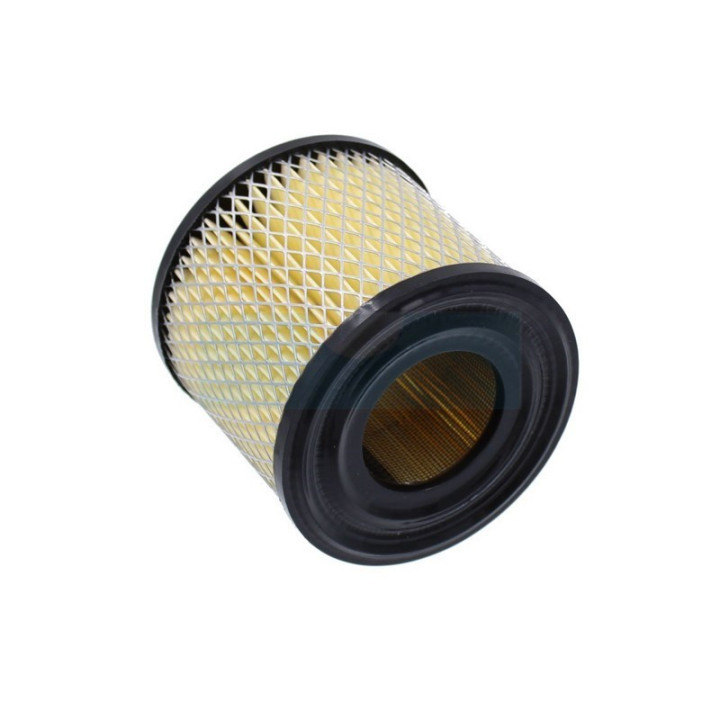 Filtre à air pour moteur Briggs & Stratton (393957)
