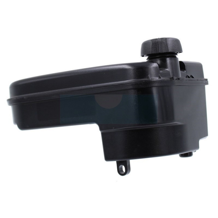 Réservoir d'essence pour moteur Briggs & Stratton (793472)