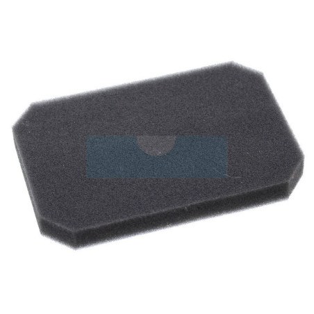 Filtre à air pour moteur Robin (2773260308)