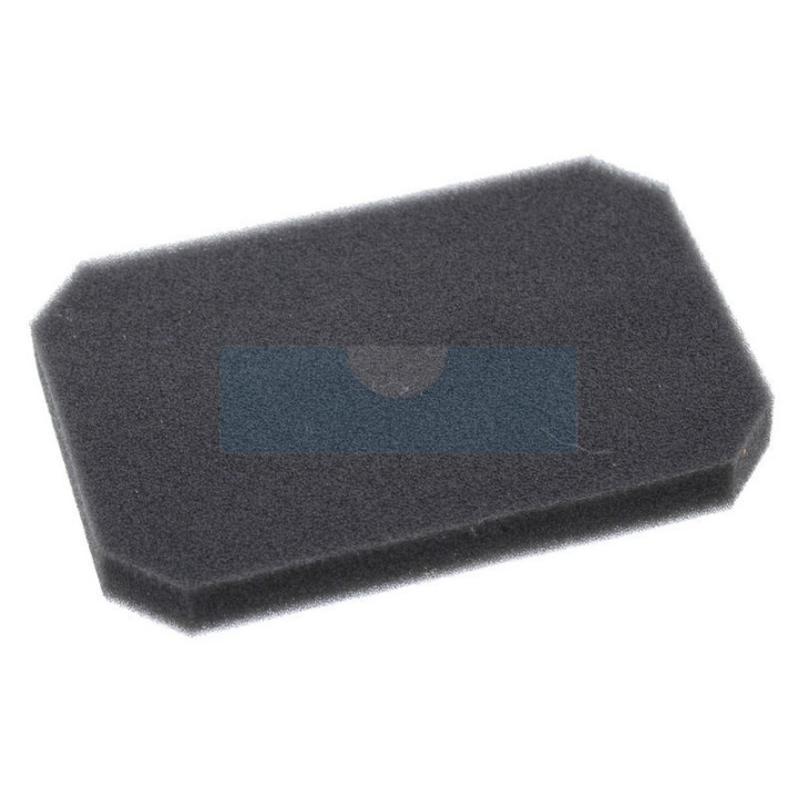 Filtre à air pour moteur Robin (2773260308)