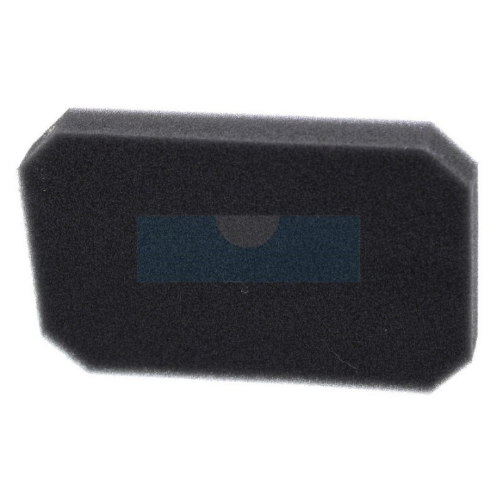 Filtre à air pour moteur Robin (2773260308)