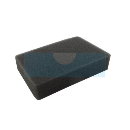 Filtre à air pour moteur Robin (2693261008)