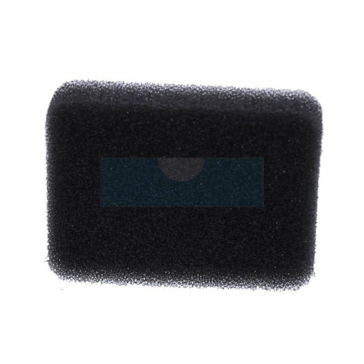 Filtre à air pour Ryobi (2383521)