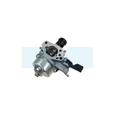 Carburateur pour moteur Honda (16100Z1FW02)