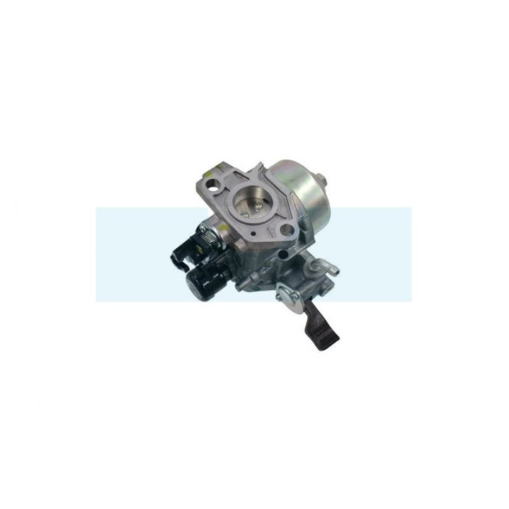 Carburateur pour moteur Honda (16100Z1FW02)