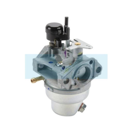 Carburateur pour moteur Honda (16100Z0M841)