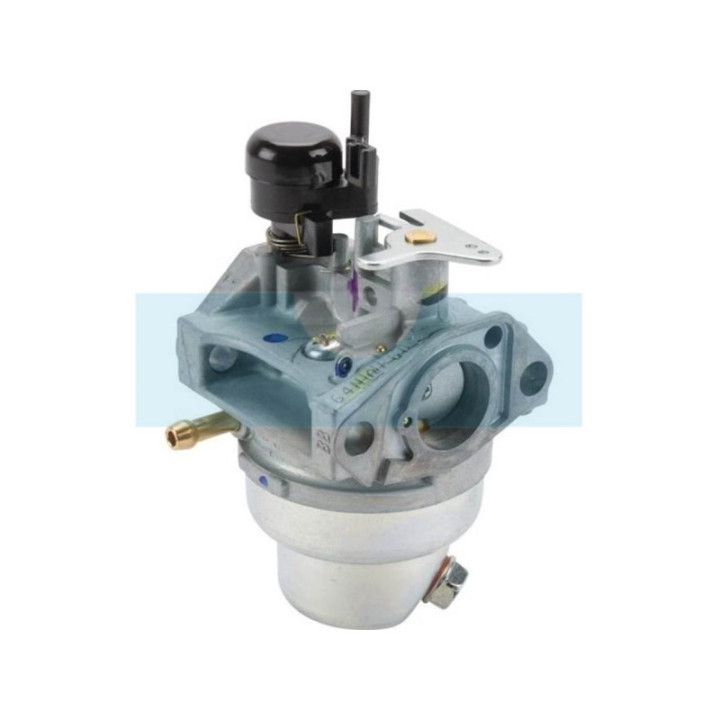 Carburateur pour moteur Honda (16100Z0M841)