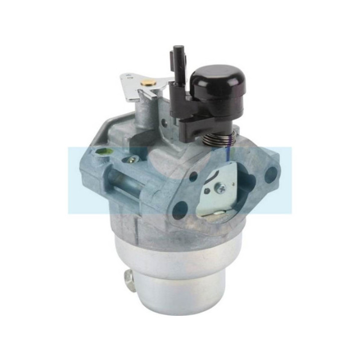Carburateur pour moteur Honda (16100Z0M841)