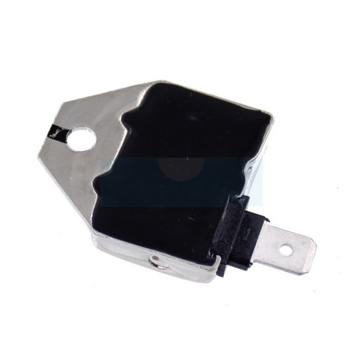 Module d'allumage pour moteur Kawasaki (21119-2161)