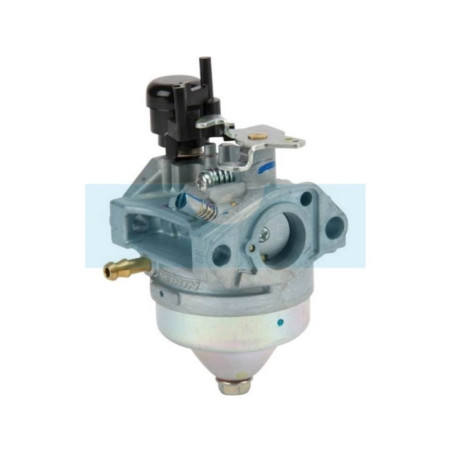 Carburateur pour moteur Honda (16100Z0M853)
