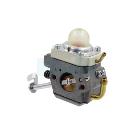 Carburateur pour moteur Honda (16100ZDJ813)