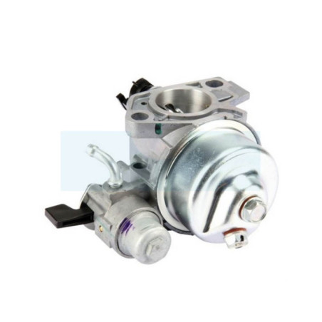 Carburateur pour moteur Honda (16100ZF6V51)