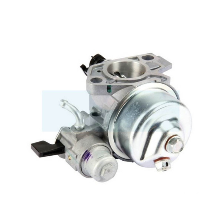 Carburateur pour moteur Honda (16100ZF6V51)