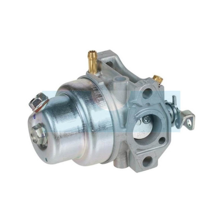 Carburateur pour moteur Honda (16100883W11)