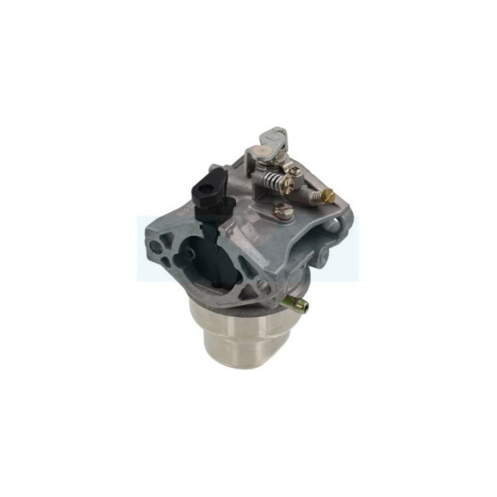 Carburateur pour moteur Honda (16100889065)