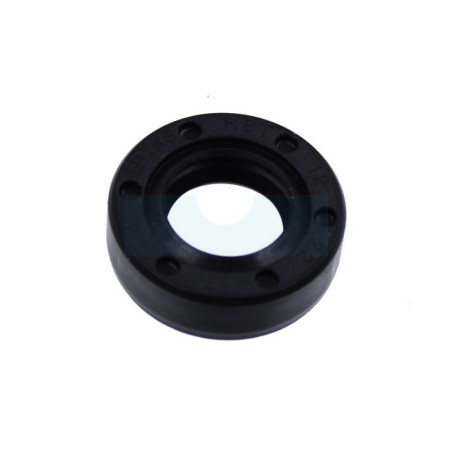 Joint spi pour moteur Castelgarden / GGP (1185505990)