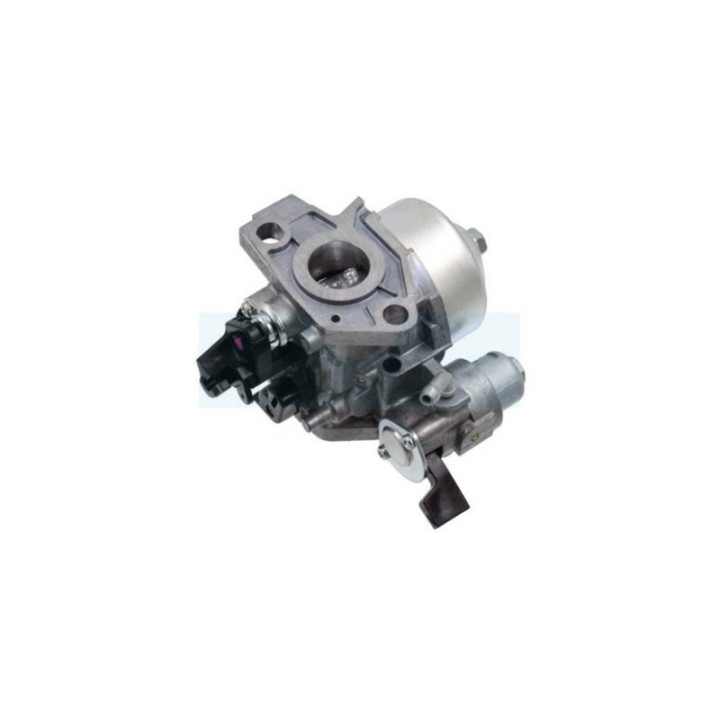 Carburateur pour moteur Honda (16100ZE2W32)