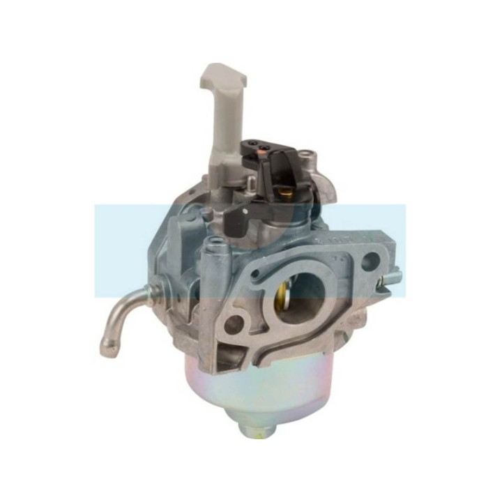 Carburateur pour moteur Honda (16100ZN4804)