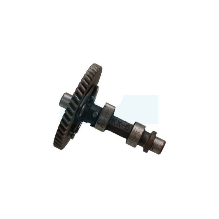 Arbre à cames pour moteur Honda (14100ZE1812)